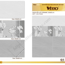 GẠCH 30x60