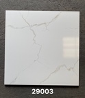 29003 thực tế